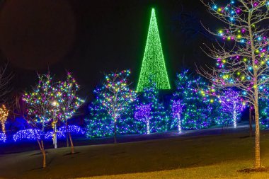 Bir sürü renkli ışıklandırmalı ağaç, binalar, çalılıklar ve güzel bir gecede büyük bir sürücünün Noel görüntüsü.