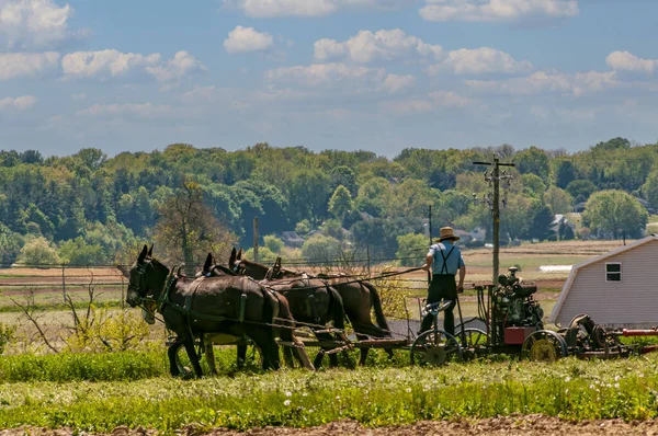 stock image A View of an Amish Farmer Working His Farm Equipment, Being Pulled by Three Horses on a Sunny Day