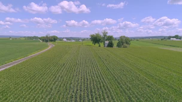 Ronks Pennsylvania Mei 2023 Een Drone Zijaanzicht Van Een Stoomlocomotief — Stockvideo