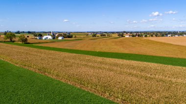 Bir sonbahar gününde, Mavi Gökler ve Çiftlik Evleri ile hasat için hazır mısır tarlalarının hava görüntüsü