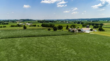 Güneşli bir günde, Yeşil Tarlalar, Çiftlik Evinin Yakınındaki Bir Çok Tarlada Büyüyen Mısır Tarlalarının Havadan Görünümü