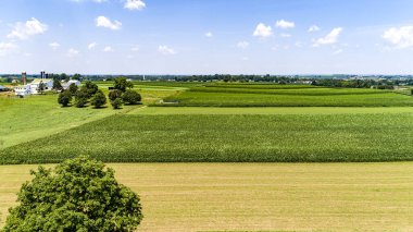 Güneşli bir günde, Yeşil Tarlalar, Çiftlik Evinin Yakınındaki Bir Çok Tarlada Büyüyen Mısır Tarlalarının Havadan Görünümü