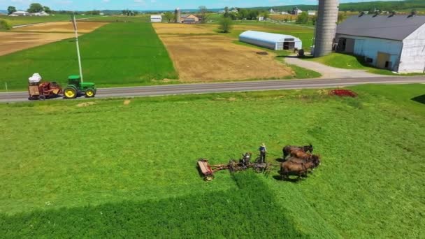 Ronks Pennsylvania Května 2023 Letecký Boční Pohled Amišského Farmáře Sklízejícího — Stock video
