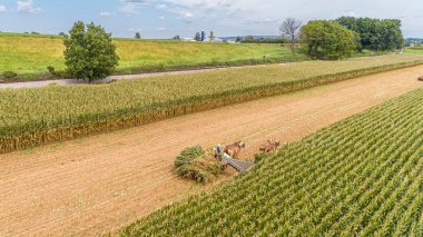 Güneşli bir günde ailesinin yardımıyla Amish hasat makinesini çeken altı atın hava görüntüsü.