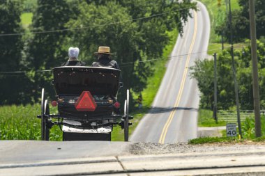 A Rear View of an Amish Couple in an Open Horse and Buggy, Heading Down a Rural Road on a Sunny Summer Day clipart