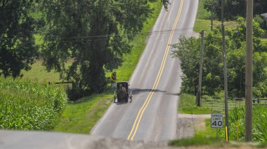 Güneşli bir yaz gününde kırsal bir yolda ilerleyen bir Amish Atı ve At Arabası manzarası