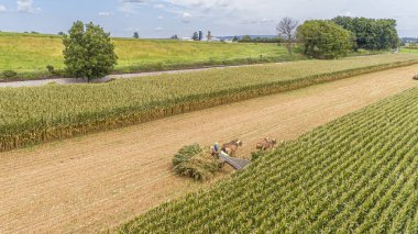 Güneşli bir günde ailesinin yardımıyla Amish hasat makinesini çeken altı atın hava görüntüsü.