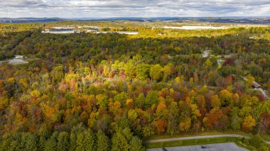 Güneşli bir Sonbahar Gününde Kırsal Yüzeyde Sonbahar Ağaçlarının Havadan Görünümü
