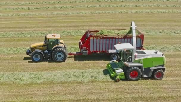 Tractors Work Harmony Baling Hay Day Wanes Transforming Fields Neatly — Stock Video