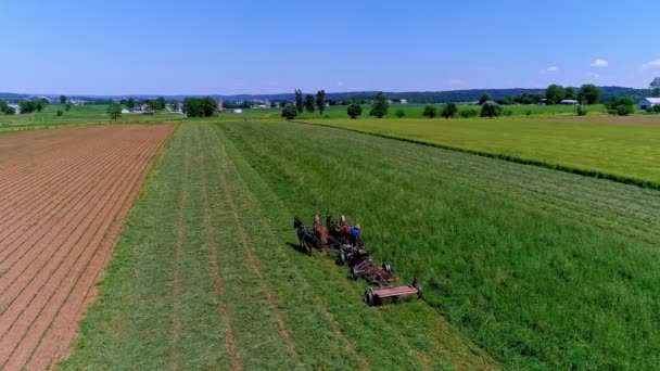 Ronks Pensilvanya Haziran 2022 Bir Amish Çiftçisinin Ekinlerini Biçtiği Dört — Stok video