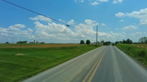 Serene Journey Rural Road Lush Fields Bright Blue Sky While — Stock Video
