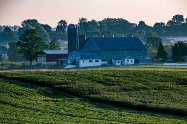Ronks, Pennsylvania, ABD, 20 Ağustos 2023 - Tarlalar arasında uzanan ahır ve silolarla birlikte, klasik bir çiftlik üzerinde uyanan gün, tarım ve miras hikayeleri için pitoresk bir ortam.