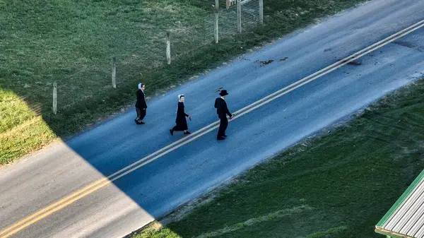 Ronks Pennsylvania Novembre 2023 Catturati Dall Alto Tre Amish Godono — Foto Stock