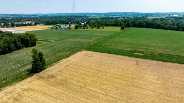 Yukarıdan bir mısır tarlası ve arka planda birkaç ev gösteriliyor. Gökyüzü açık ve güneş parlıyor.
