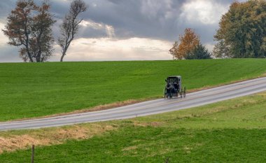 Güneşli bir sonbahar gününde Kırsal bir Kırsal Yol 'a yaklaşan Amish Atı ve Böcek Manzarası