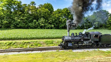 89 numaralı siyah buharlı lokomotif, dumanı tüten, açık mavi bir gökyüzünün altında, arka planda yoğun bir ormanla birlikte yeşil alanlar boyunca uzanan demiryolu rayları boyunca seyahat ediyor..