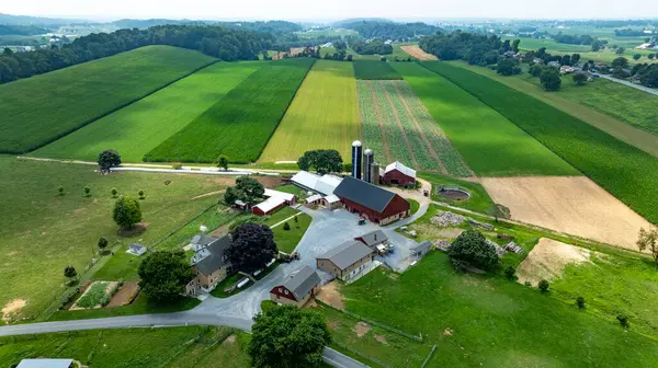 stock image Paradise, Pennsylvania, USA, July 18. 2023 - An Aerial View of Farm Buildings and Vibrant Farmlands