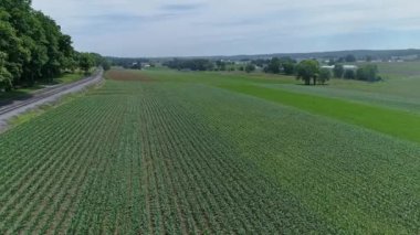 Temiz ekilmiş yeşil ekinlerle, solda tren raylarıyla dağılmış ağaçlarla ve kırsal bir arazide açık mavi gökyüzüyle hava manzarası. Yüksek kalite 4k görüntü