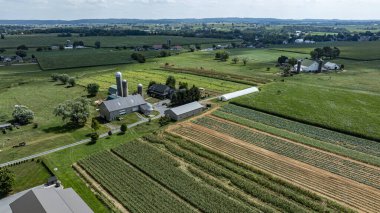 Manzara, mavi gökyüzü altında tarlalar, silolar ve çeşitli ekinlerin yer aldığı geniş bir kırsal çiftliği gösteriyor. Yeşil tepeler ve uzak binalar huzurlu ve pastoral bir ortam yaratır..