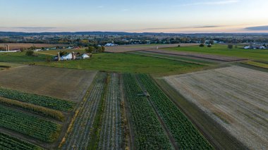 Bu hava perspektifi, çarpıcı bir günbatımı arkaplanına kurulmuş farklı ekinlerle geniş bir tarım alanı yakalar ve kırsal tarımın güzelliğini vurgular..
