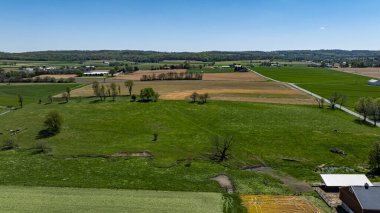 Geniş açı, kahverengi toprak ve ağaçlarla benekli yeşil tarlaları ve gün boyunca açık mavi gökyüzü altında sakin bir şekilde otlayan çiftlik hayvanlarını gösteriyor..