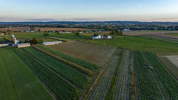 stock image The sun sets over a picturesque rural landscape, highlighting expansive fields of crops and farmhouses scattered throughout. The vibrant green and brown layers form a patchwork effect.