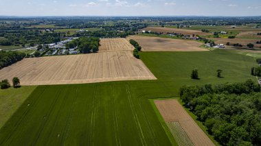 Parlak yaz gökyüzü, yeşil ve hasat edilen ekinlerin birlikte var olduğu geniş alanlara ışık tutuyor ve kırsal alandaki tarım çeşitliliğini vurguluyor. Yuvarlanan tepeler uzaklara uzanıyor..