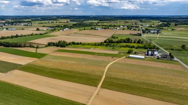 Geniş tarım arazilerinin geniş bir manzarası canlı yeşil ve altın tarlalar, geleneksel çiftlik binaları ve açık mavi bir gökyüzü sergiler. Manzara, gün ışığında kırsal yaşamın güzelliğini vurgular..