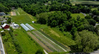 Bu pitoresk dekor, temiz bir yaz gökyüzü altında düzgünce organize edilmiş tarım alanları ve yeşil otlakların yer aldığı kırsal bir çiftliği gösteriyor. Yakın yapılar arasında seralar ve kırmızı bir ahır yer alıyor..