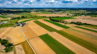 Toprakta yeşil ve kahverengi alanların çeşitli tonlarında, çiftliklerle noktalanmış yemyeşil alanlar. Geniş açıdan bakıldığında, tarlalardan geçen temiz bir yolu olan kırsal bir bölge görülüyor..