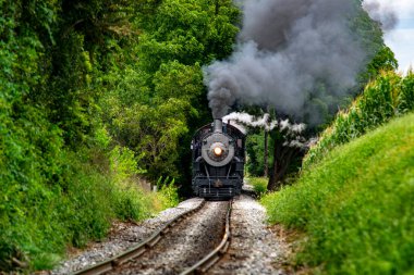 Güçlü bir buhar treni, yeşil ağaçlarla çevrili dar bir demiryolu boyunca hareket ederken büyük duman bulutları salıyor. Yeşillik ayarı, klasik seyahatlerin sergilendiği görkemli bir sahne yaratıyor..