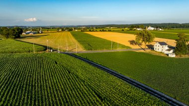 Açık mavi gökyüzünün altında yemyeşil ve altın tarlalar uzanır. Yolun kenarında duran, gün batımında kırsal güzellikleri gösteren tuhaf bir çiftlik evi..