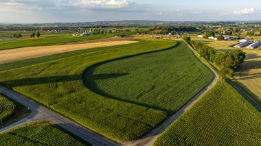 Serenity fills the air as rolling green fields stretch across the landscape, interspersed with winding roads and distant farmhouses during a warm evening. clipart