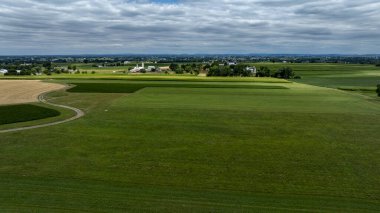 Gökyüzü bulutlu bir gökyüzü altında yemyeşil tarlaları ve altın mahsulleri olan geniş tarım arazilerini yakalar. Demiryolu rayları manzarayı ikiye bölüyor, sakin kırsal düzeni güçlendiriyor..