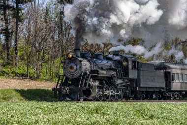 Güçlü bir buhar lokomotifi canlı yeşil alanlarda hareket ederek açık gökyüzüne doğru yükselen dumanlar salıyor. Sahne, geçmişteki ulaşım çağının çekiciliğini yakalıyor..