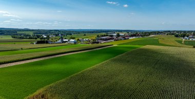 Geniş yeşil tarlalar arazi boyunca uzanır, güneşli bir günde açık mavi bir gökyüzünün altında tuhaf bir kasaba görünür..