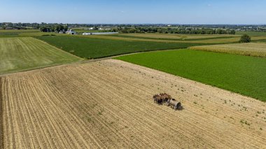 Horse Pulled Farm Worker tarlada gübre makinesini tarımsal ekipman olarak kullanıyor. Manzarada yaz aylarında sıra sıra ekinler ve açık bir gökyüzü yer alıyor..