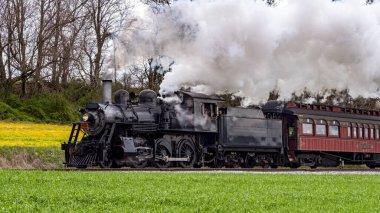 Klasik bir buhar treni yeşil bir alan boyunca tıkırdar ve bahar aylarında canlı bir kırsal alanda seyahat ederken duman bulutları bırakır. En yakın ağaçlar resim görünümünü çerçeveler.