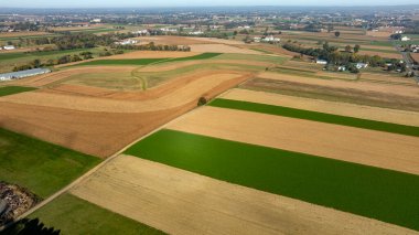 Geniş tarım arazileri kırsal kesimde yeşil ve altın kahverengi tarlaların canlı bir parçasını sergiliyor. Uzakta, kırsal yaşamın sükunetini somutlaştıran bir çiftlik beliriyor..