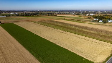 Geniş tarım arazileri, canlı yeşil ve altın kahverengi tarlalardan oluşan bir yama sergiliyor. Açık mavi gökyüzünün altında, kırsal yaşamın sükunetini yakalayan bir çiftlik var..