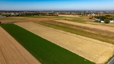 Geniş tarım arazileri, canlı yeşil ve altın kahverengi tarlalardan oluşan bir yama sergiliyor. Açık mavi gökyüzünün altında, kırsal yaşamın sükunetini yakalayan bir çiftlik var..