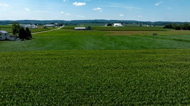 Toprak boyunca uzanan yemyeşil alanlar, çiftliklerle ve açık mavi gökyüzünün altında. Huzurlu manzara, yaz aylarındaki kırsal hayatın güzelliğini gözler önüne seriyor, açık alanı vurguluyor..