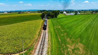 Antika bir buharlı lokomotif, canlı yeşil tarlalar ve mısır tarlalarıyla çevrili bir demiryolu boyunca ilerliyor. Sahne, güneşli bir günde kırsal hayatın huzur dolu özünü yakalıyor..
