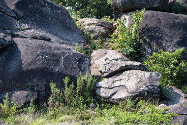 Geniş kayalık çıkıntılarda büyük kayalar ve dayanıklı yeşil bitki örtüsü bulunur. Güneş ışığı bölgeyi yıkıyor, kayaların ve bitkilerin dokularını ve gölgelerini vurguluyor..
