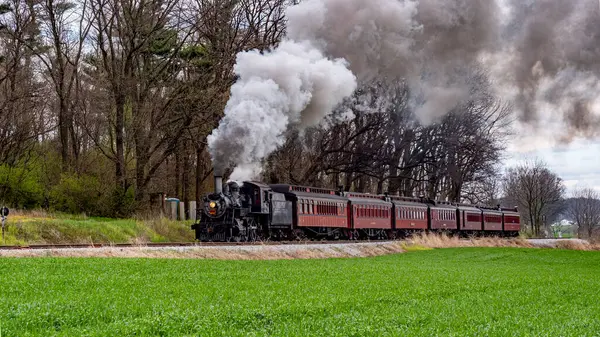 Kaliteli bir buhar treni açık mavi bir gökyüzünün altındaki canlı yeşil alanları tarıyor. Motor bahar boyunca kırsal alanda ilerlerken beyaz duman salıyor..