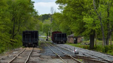İki eski tren vagonu, canlı yeşil ağaçlarla çevrili, aşırı gelişmiş tren raylarında oturur. Huzurlu ortam, nostaljiyi ve zamanın akışını çağrıştıran bir tarih duygusunu aktarıyor..