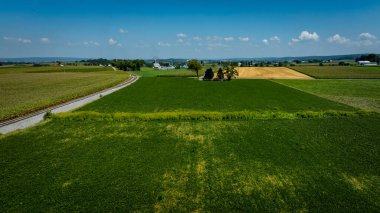 Geniş bir tarım arazisinde demiryolu kenarlarında yemyeşil alanlar bulunur. Sahne, uzak tepeler ve açık mavi gökyüzü ile güneşli bir günü gösteren sakin bir kırsal mekan gösteriyor..