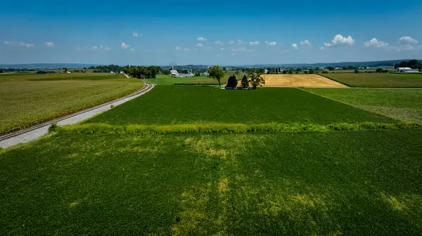 Geniş bir tarım arazisinde demiryolu kenarlarında yemyeşil alanlar bulunur. Sahne, uzak tepeler ve açık mavi gökyüzü ile güneşli bir günü gösteren sakin bir kırsal mekan gösteriyor..