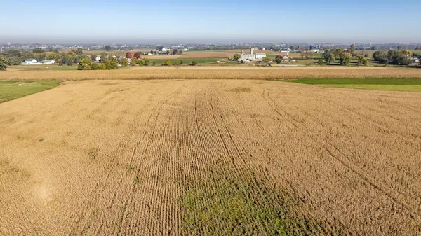 Arazi boyunca uzanan bir soya fasulyesi tarlası hasat için hazır altın mahsulleri sergiliyor. Yakınlarda, çiftlik binaları ve yemyeşil alanlar güzel bir kırsal zemin oluşturuyor..