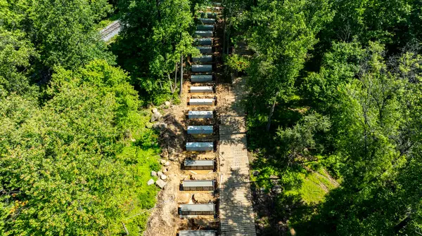 Canlı yeşil bir ormanda düzgünce düzenlenmiş bir dizi bahçe yatağı görülebilir. Yükseltilmiş yataklar, ağaçlar ve doğal yapraklarla çevrili sürdürülebilir tarım için tasarlanmıştır..